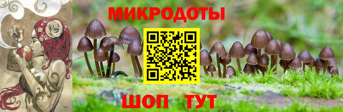 Рязань  где можно купить   Вход с VPN  Псилоцибиновые грибы прущие грибы 
